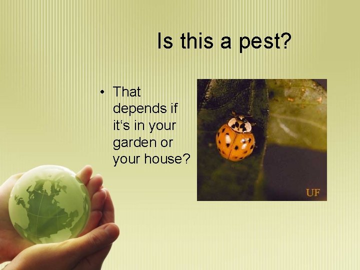 Is this a pest? • That depends if it‘s in your garden or your