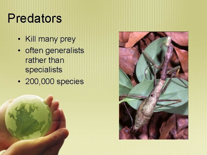 Predators • Kill many prey • often generalists rather than specialists • 200, 000
