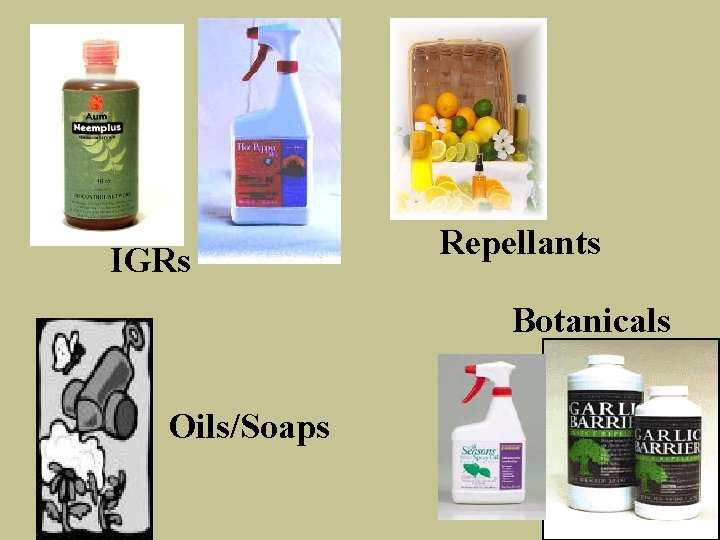 IGRs Repellants Botanicals Oils/Soaps 