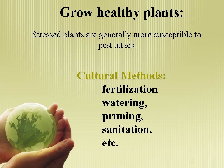 Grow healthy plants: Stressed plants are generally more susceptible to pest attack Cultural Methods: