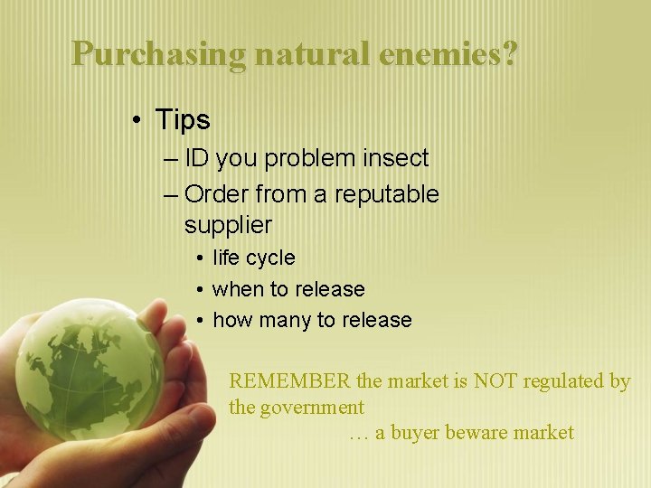 Purchasing natural enemies? • Tips – ID you problem insect – Order from a