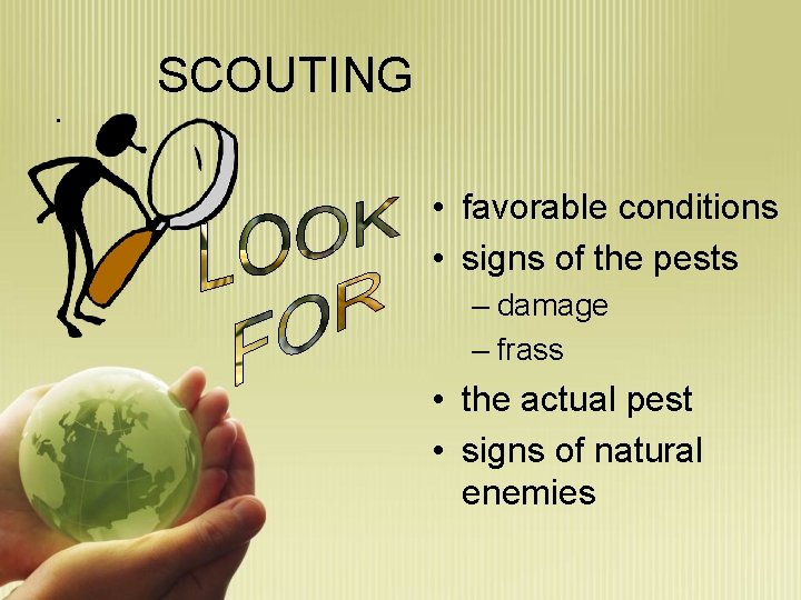 . SCOUTING • favorable conditions • signs of the pests – damage – frass