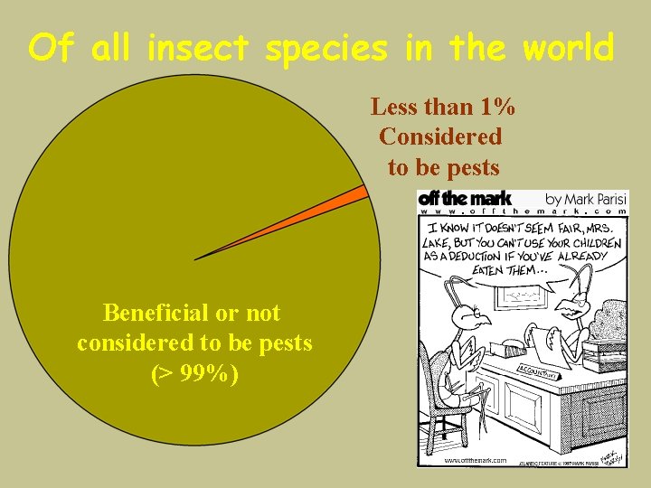 Of all insect species in the world Less than 1% Considered to be pests