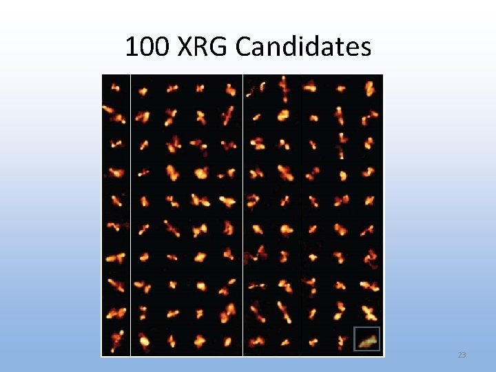 100 XRG Candidates 23 