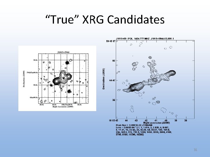 “True” XRG Candidates 31 