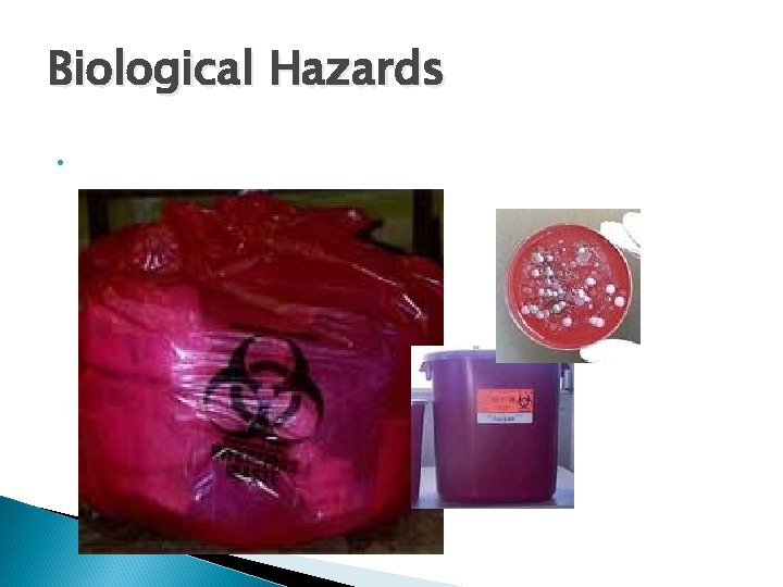 Biological Hazards • 