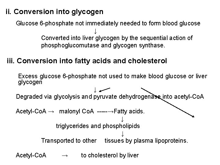 ii. Conversion into glycogen Glucose 6 -phosphate not immediately needed to form blood glucose