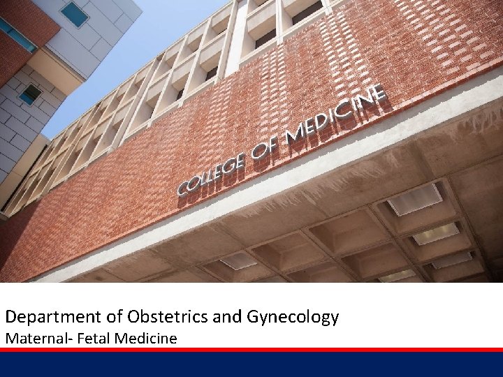 Department of Obstetrics and Gynecology Maternal- Fetal Medicine 