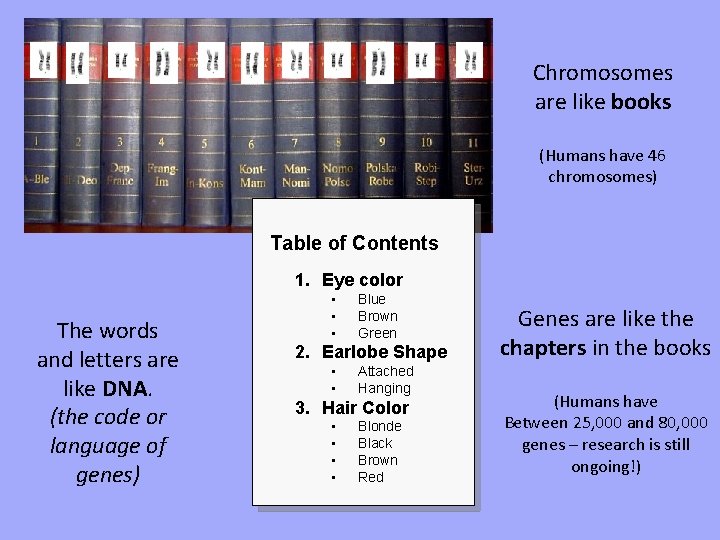 Chromosomes are like books (Humans have 46 chromosomes) Table of Contents 1. Eye color