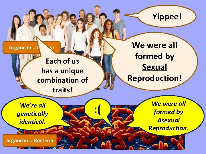 Yippee! We were all formed by Sexual Reproduction! organism = Human Each of us