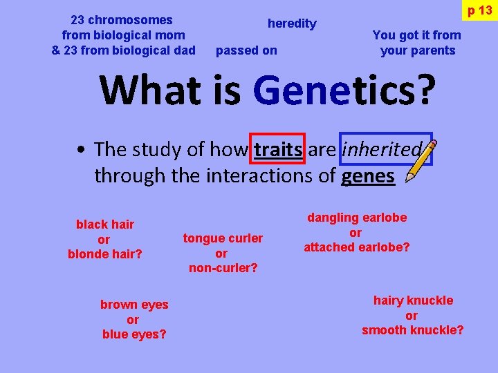 23 chromosomes from biological mom & 23 from biological dad heredity passed on p