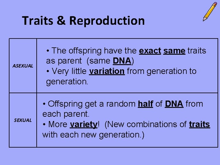 Traits & Reproduction ASEXUAL • The offspring have the exact same traits as parent