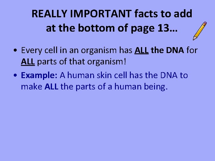 REALLY IMPORTANT facts to add at the bottom of page 13… • Every cell
