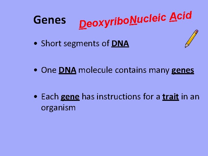 Genes d i c A c i e l c u N o b