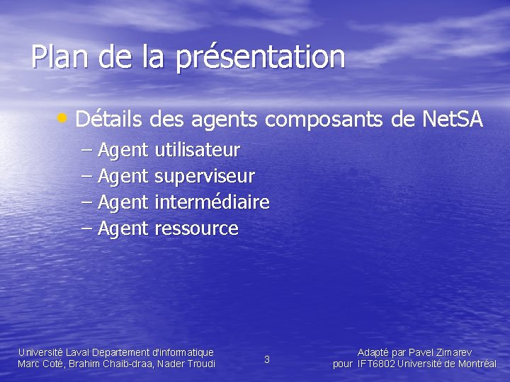 Plan de la présentation • Détails des agents composants de Net. SA – Agent