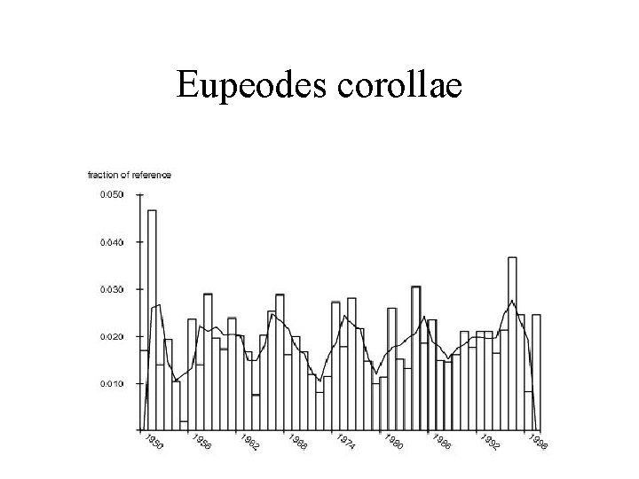 Eupeodes corollae 