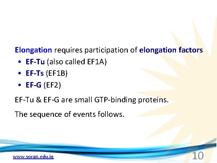 Elongation requires participation of elongation factors • EF-Tu (also called EF 1 A) •
