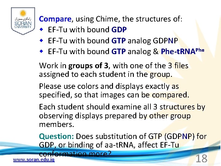 Compare, using Chime, the structures of: w EF-Tu with bound GDP w EF-Tu with