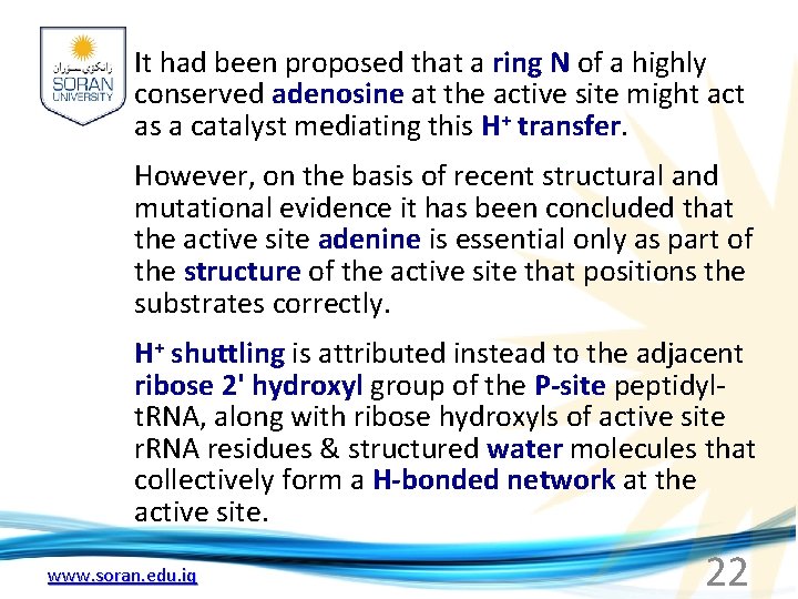 It had been proposed that a ring N of a highly conserved adenosine at