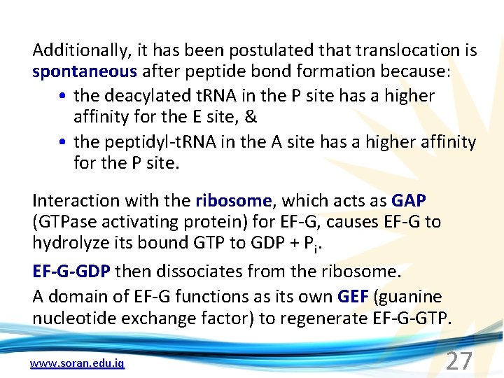 Additionally, it has been postulated that translocation is spontaneous after peptide bond formation because: