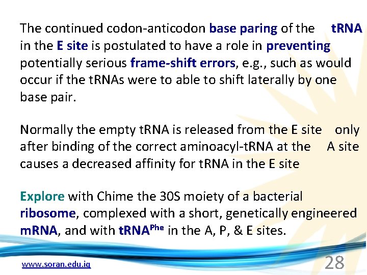 The continued codon-anticodon base paring of the t. RNA in the E site is