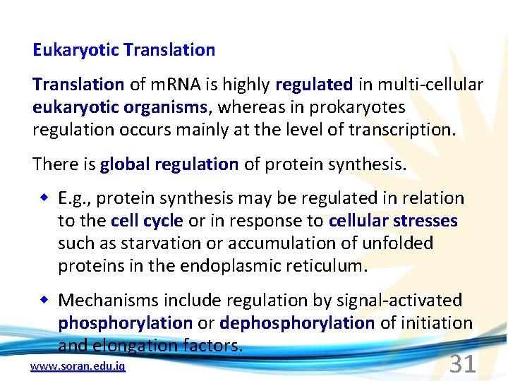 Eukaryotic Translation of m. RNA is highly regulated in multi-cellular eukaryotic organisms, whereas in