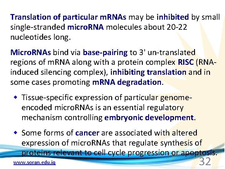 Translation of particular m. RNAs may be inhibited by small single-stranded micro. RNA molecules