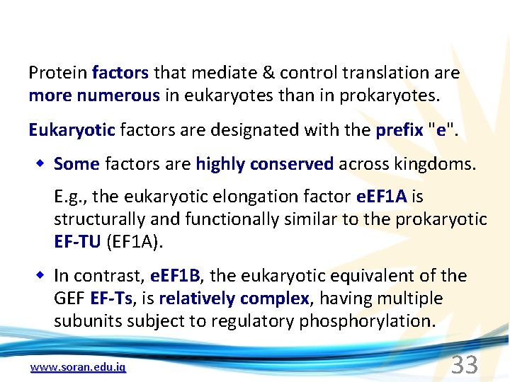 Protein factors that mediate & control translation are more numerous in eukaryotes than in