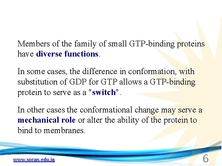 Members of the family of small GTP-binding proteins have diverse functions. In some cases,