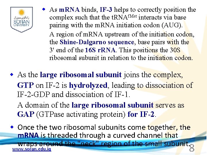 w As m. RNA binds, IF-3 helps to correctly position the complex such that