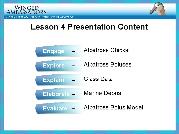 Lesson 4 Presentation Content Engage – Albatross Chicks Explore – Albatross Boluses Explain –