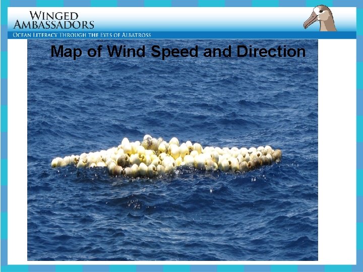 Map of Wind Speed and Direction 