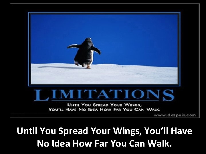 Until You Spread Your Wings, You’ll Have No Idea How Far You Can Walk.