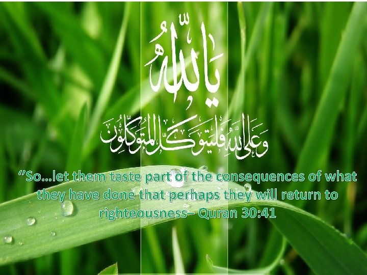 ‘’So…let them taste part of the consequences of what they have done that perhaps