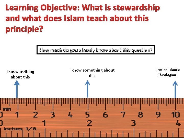 Learning Objective: What is stewardship and what does Islam teach about this principle? How