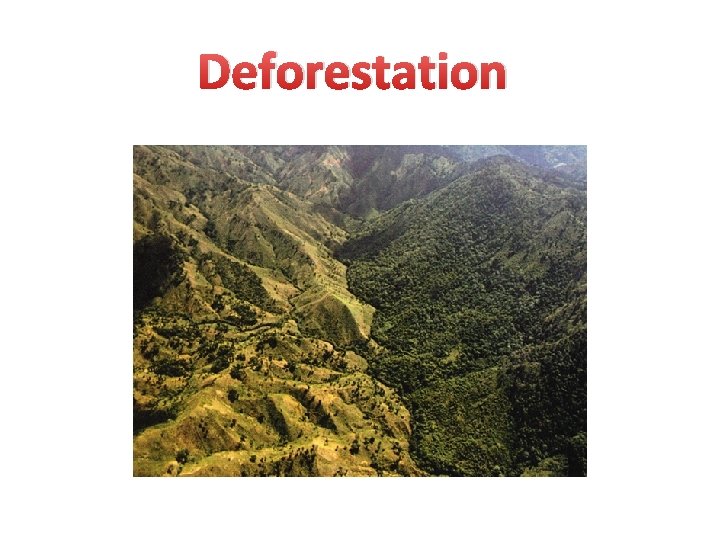 Deforestation 