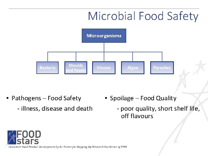 Microbial Food Safety Microorganisms Bacteria Moulds and Yeasts • Pathogens – Food Safety -