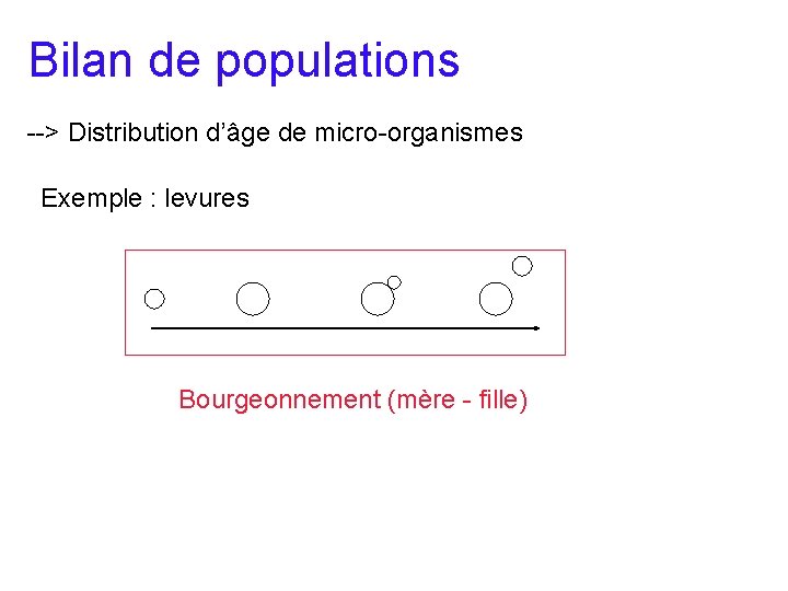 Bilan de populations --> Distribution d’âge de micro-organismes Exemple : levures Bourgeonnement (mère -