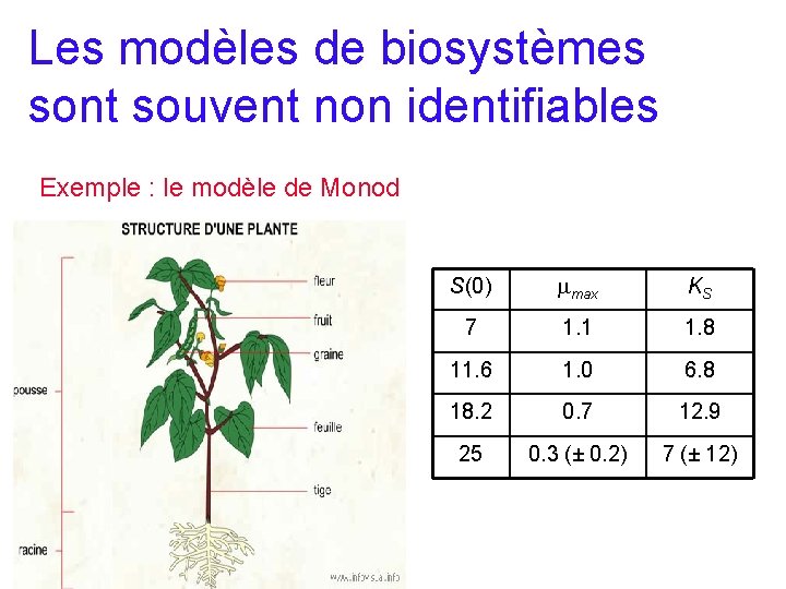 Les modèles de biosystèmes sont souvent non identifiables Exemple : le modèle de Monod