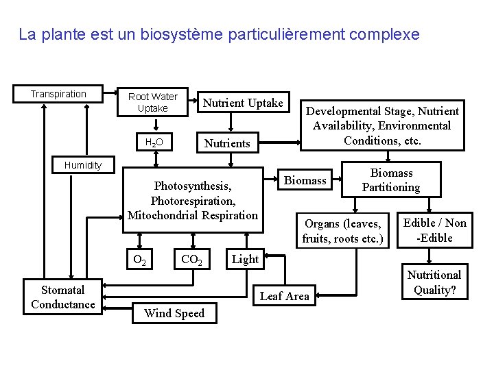 La plante est un biosystème particulièrement complexe Transpiration Root Water Uptake Nutrients H 2