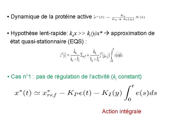  • Dynamique de la protéine active : • Hypothèse lent-rapide: kax >> ki(y)x*