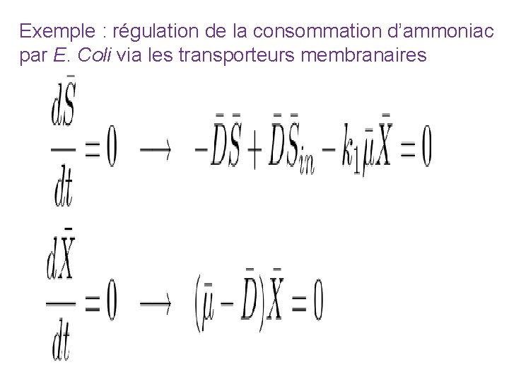 Exemple : régulation de la consommation d’ammoniac par E. Coli via les transporteurs membranaires