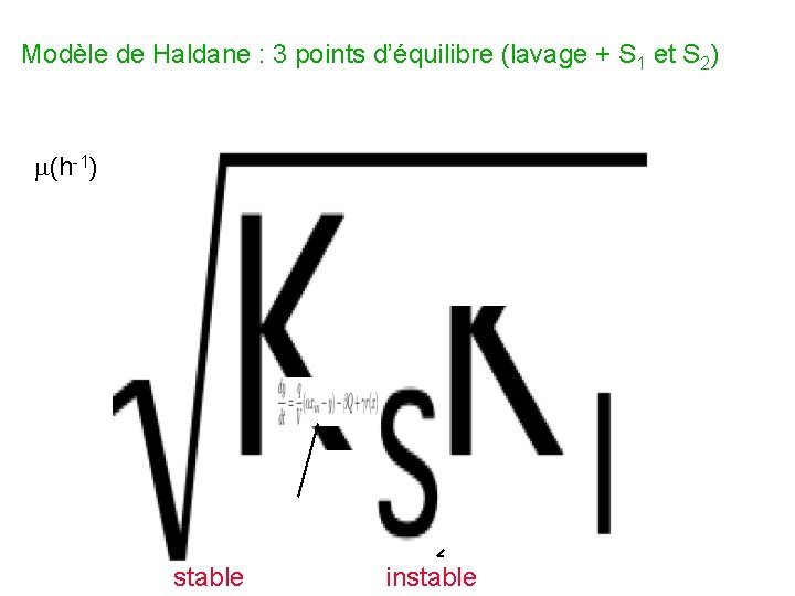 Modèle de Haldane : 3 points d’équilibre (lavage + S 1 et S 2)