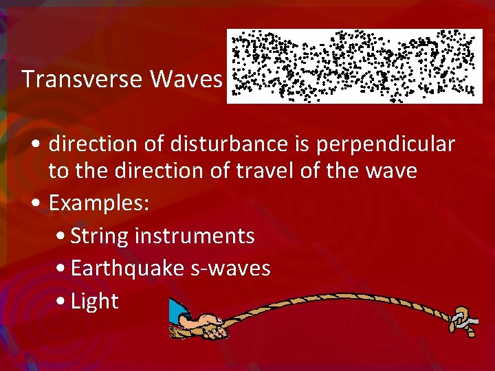 Transverse Waves • direction of disturbance is perpendicular to the direction of travel of