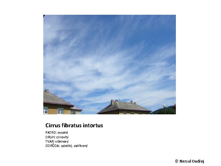 Cirrus fibratus intortus PATRO: vysoké DRUH: cirrovitý TVAR: vláknový ODRŮDA: spletitý, zakřivený © Nezval