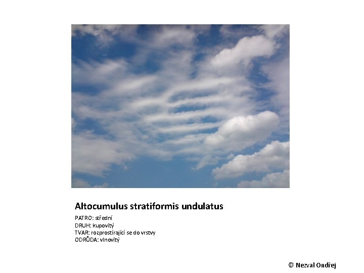 Altocumulus stratiformis undulatus PATRO: střední DRUH: kupovitý TVAR: rozprostírající se do vrstvy ODRŮDA: vlnovitý