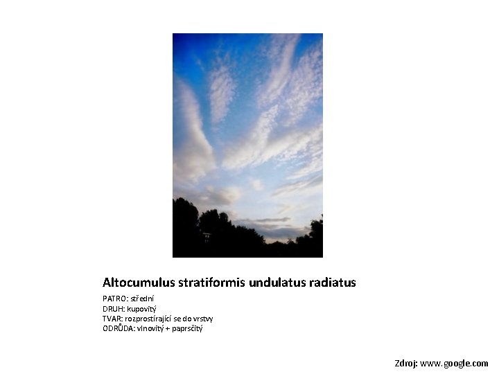 Altocumulus stratiformis undulatus radiatus PATRO: střední DRUH: kupovitý TVAR: rozprostírající se do vrstvy ODRŮDA:
