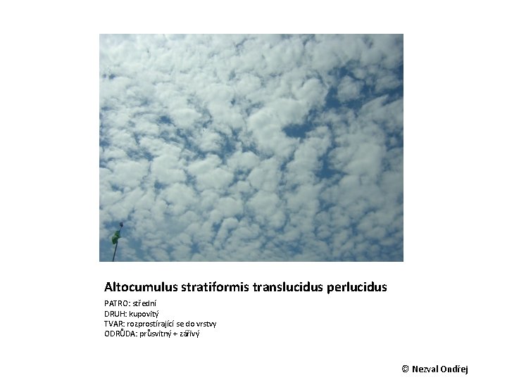 Altocumulus stratiformis translucidus perlucidus PATRO: střední DRUH: kupovitý TVAR: rozprostírající se do vrstvy ODRŮDA: