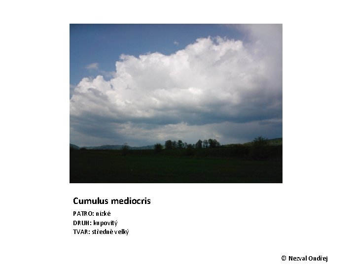 Cumulus mediocris PATRO: nízké DRUH: kupovitý TVAR: středně velký © Nezval Ondřej 