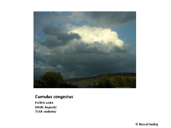 Cumulus congestus PATRO: nízké DRUH: kupovitý TVAR: mohutný © Nezval Ondřej 